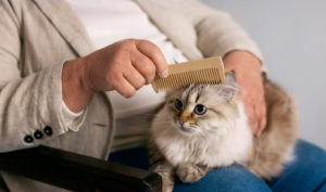 Women brushing cat on the lab