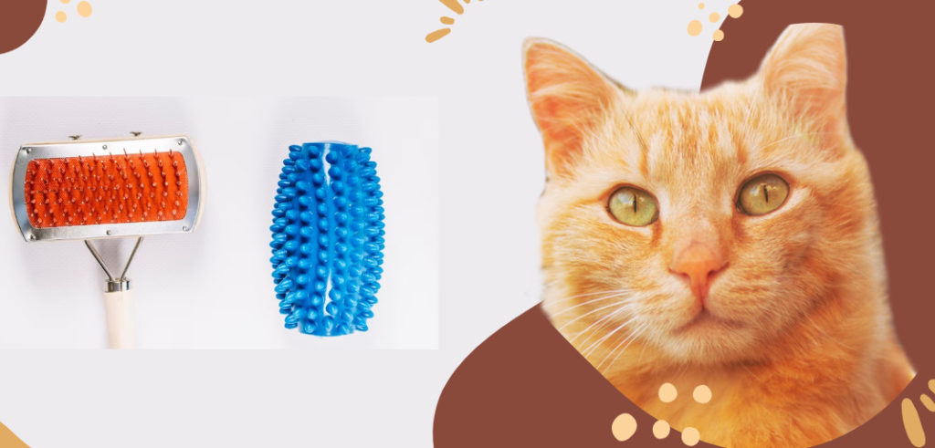 Top 5 Cat Brushes for Matted Hair