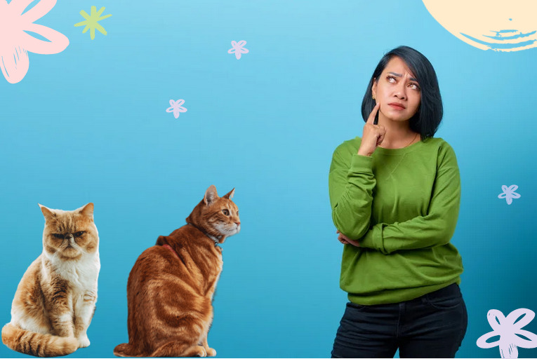 A woman wearing a green shirt, deep in thought, while two curious cats gaze at her attentively