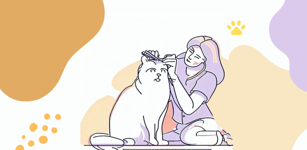 The Complete Guide to Grooming Kittens with Sensitive Skin