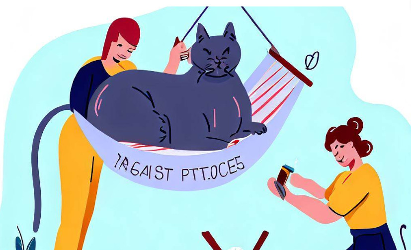 Illustration on Step-by-Step Instructions for Properly Utilizing a Cat Grooming Sling