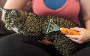 GoPets Dematting Comb for cat