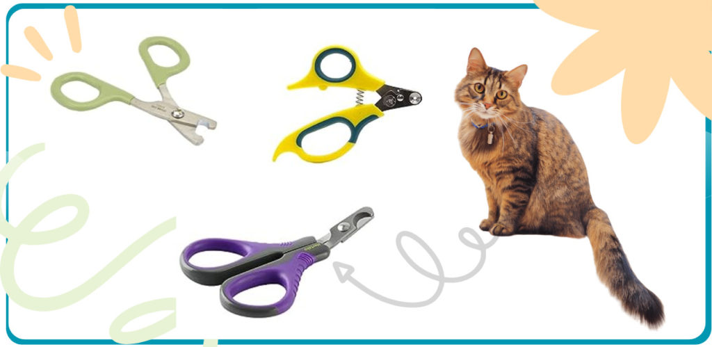 best Cat Nail Clippers