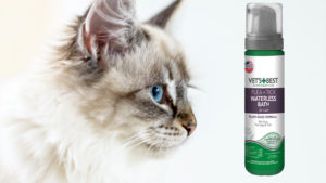 Cat Dry Shampoo for Fleas