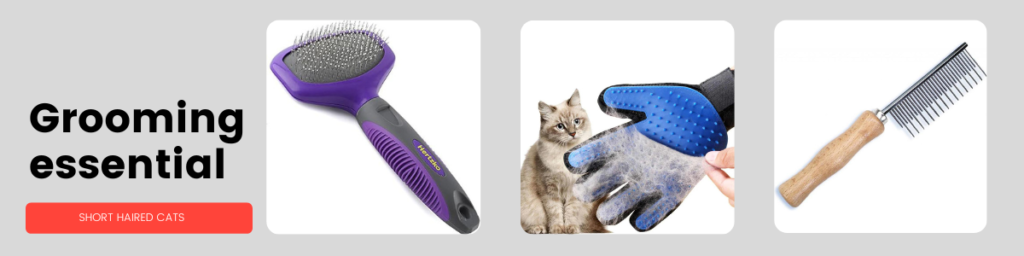 Tools for grooming short haired cats