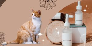 How to choose the right cat shampoo