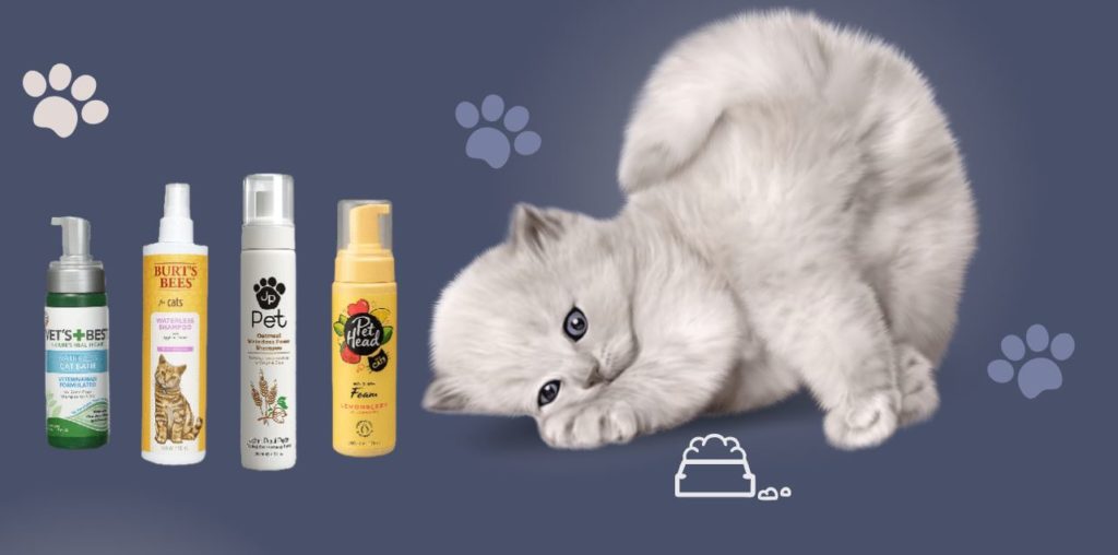 Choosing right cat shampoo