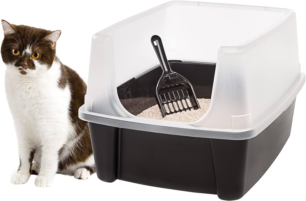 Cat litter box