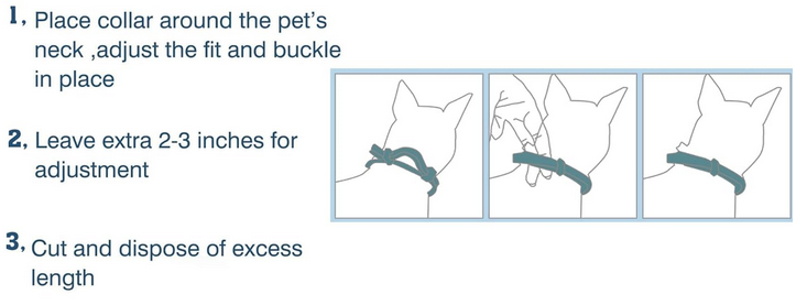 How to put a flea collar on a cat