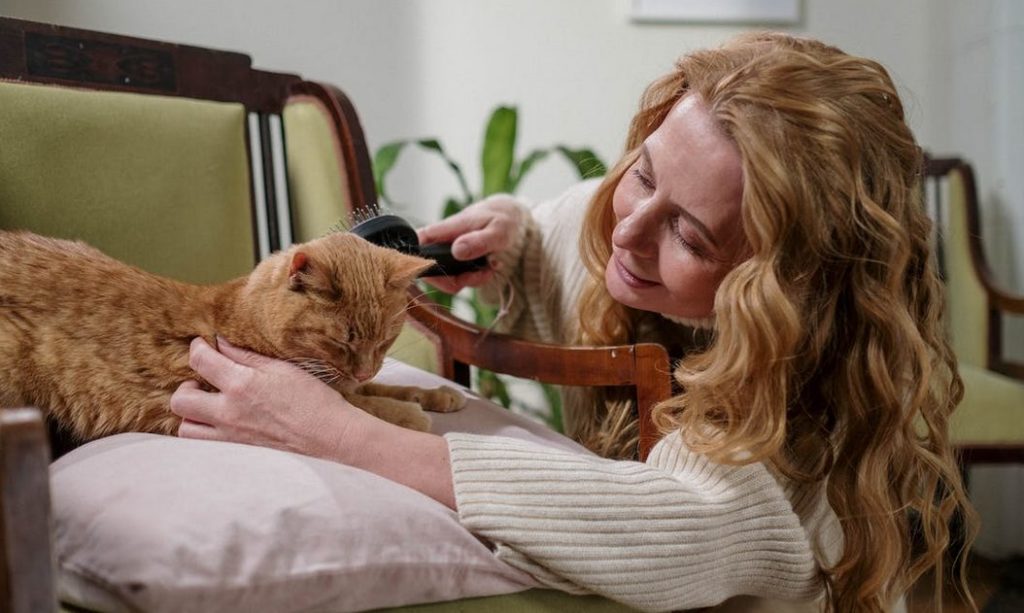 Woman calmly brushing her pet cat to soothe it