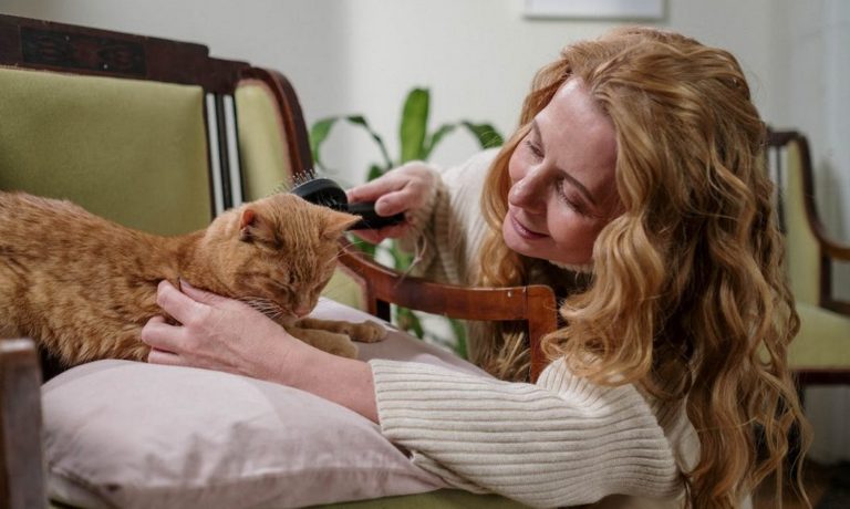 The Best Cat Grooming Tools: Top 5 Picks