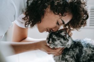 10 Simple Steps: How To Calm Your Cat Down For Grooming